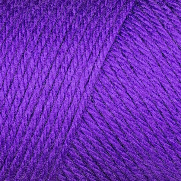 Iris caron simply soft yarn