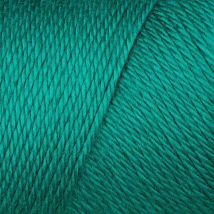 Cool green - caron simply soft solids yarn