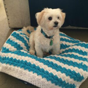 Pet blanket crochet marine blue